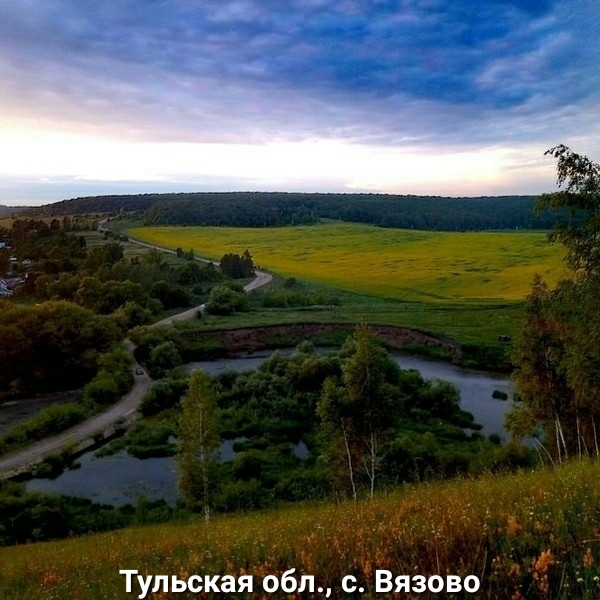 Тульская обл с Вязово