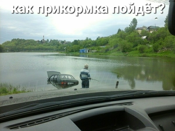 как прикормка уйдёт