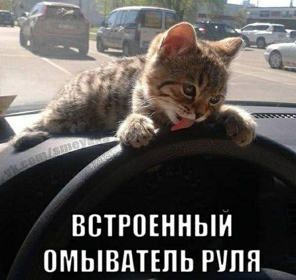 встрпънныи пмывдтрпь рупя