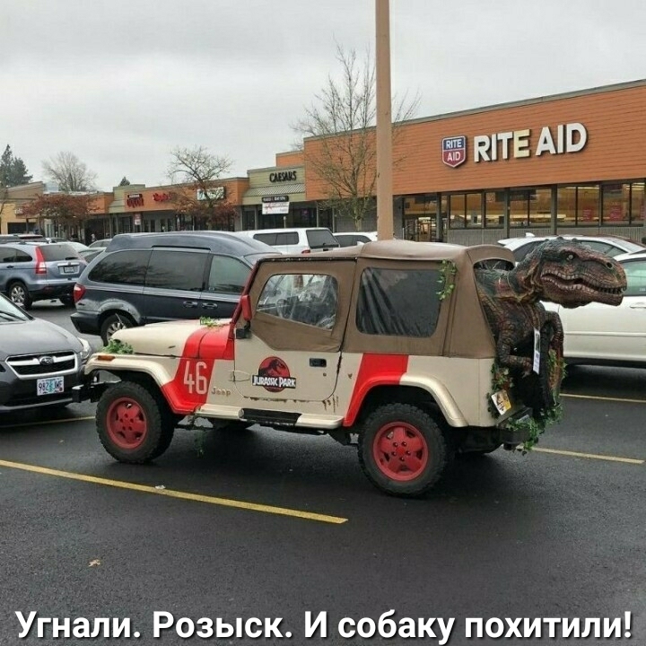 Угнали Розыск И собаку похитили