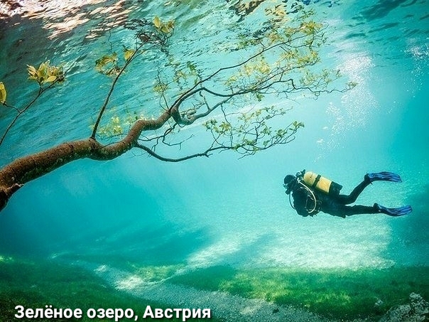 Зелёное озеро Австрия