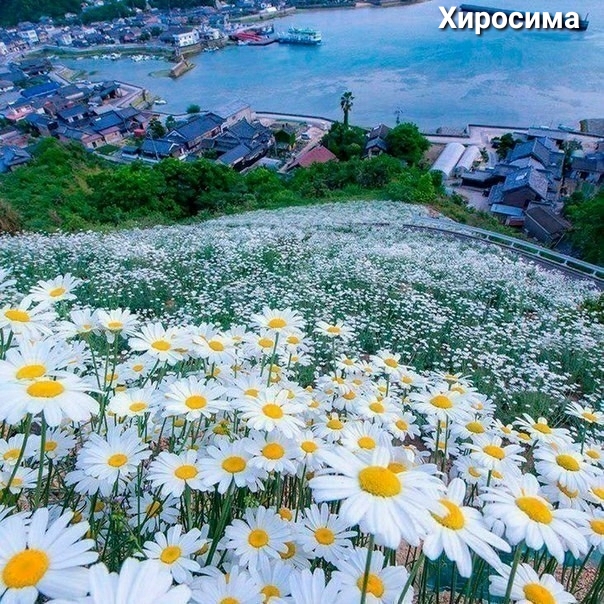 ЩЮаышз