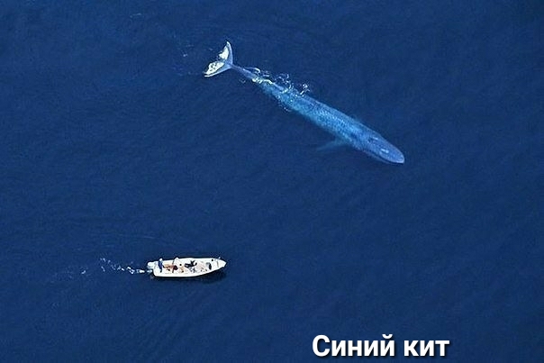 Могу в постели на столе в машине в поезде в купе