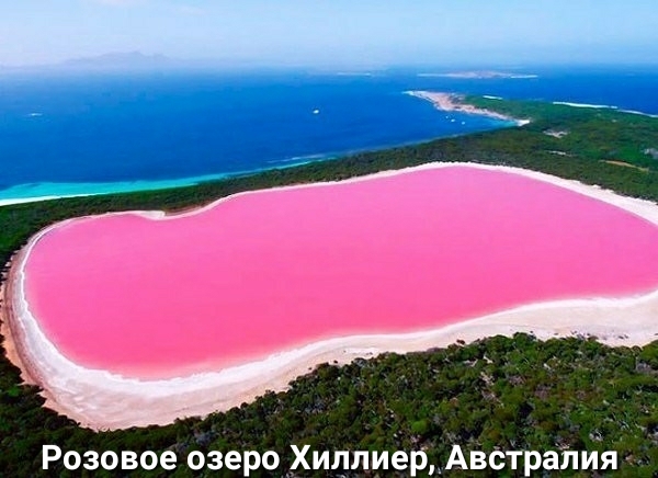 Розовое озеро _Хиллиёр_АвстраЛЙЯ