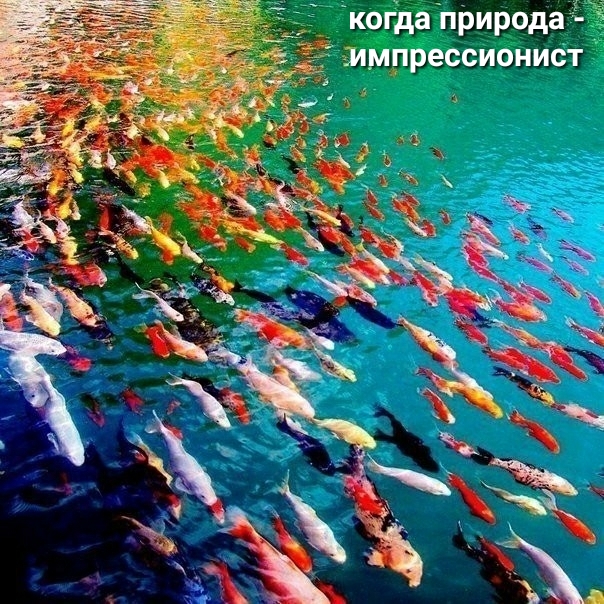 Т с и н о и с с е Р п м м