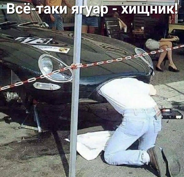 Всё ггаки К