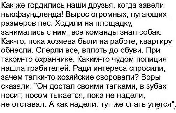 Как же гордились наши друзья когда завели ньюфаундпенда Вырос огромных пугающих размеров пес Ходили на площадку занимались с ним все команды знап собак Както пока хозяева были на работе квартиру обнесли Сперли все вплоть до обуви При такомто охраннике Какимто чудом полиция нашла грабителей Ради интереса спросили зачем тапкито хозяйские своровали Воры сказали Он достал своими тапками в зубах носит 
