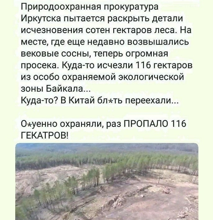 Природоохранная прокуратура Иркутска пытается раскрыть детали исчезновения сотен гектаров леса На месте где еще недавно возвышались вековые сосны теперь огромная просека Кудато исчезли 116 гектаров из особо охраняемой экологической зоны Байкала Кудато В Китай блть переехали 0уенно охраняли раз ПРОПАЛО 116 ГЕКАТРОВ