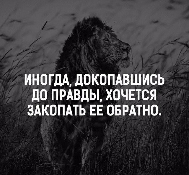 ИНОГДА ДОКОПАВШИСЬ дО ПРАВДЫ ХОЧЕТСЯ ЗАКОПАТЬ ЕЕ ОБРАТНО