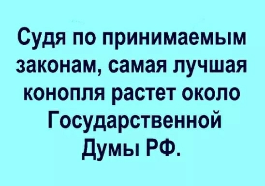 Судя по принимаемым законам самая лучшая конопля растет около Государственной Думы РФ