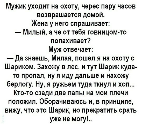 Мужик уходит на охоту черес пару часов возвращается домой Жена у него спрашивает Милый а че от тебя говницом то попахивает Муж отвечает Да знаешь Милая пошеп я на охоту с Шариком Захожу в лес и тут Шарик куда то пропап ну я иду дальше и нахожу берлогу Ну я ружьем туда ткнул и хоп Кто то сзади две лапы на мои плечи положил Оборачиваюсь и в принципе вижу что это Шарик но прекратить срать уже не могу