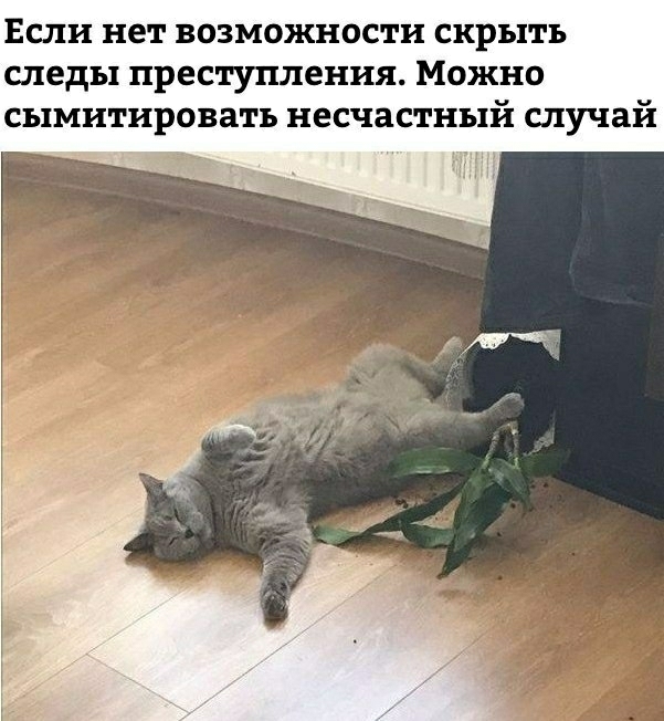 Если нет возможности скрыть следы преступления Можно сымитировать несчастный случай