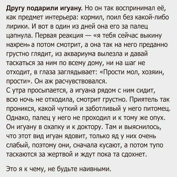 другу подарили игуану Но он так воспринимал её как предмет интерьера кормил поил без какой либо лирики И вот в один из дней она его за палец цапнула Первая реакция я тебя сейчас выкину нахрена потом смотрит а она так на него преданно грусгно глядит из аквариума вылезла и давай таскаться за ним по всему дому ни на шаг не отходит в глаза заглядывает Прости мол хозяин прости Он аж расчувствовался С у