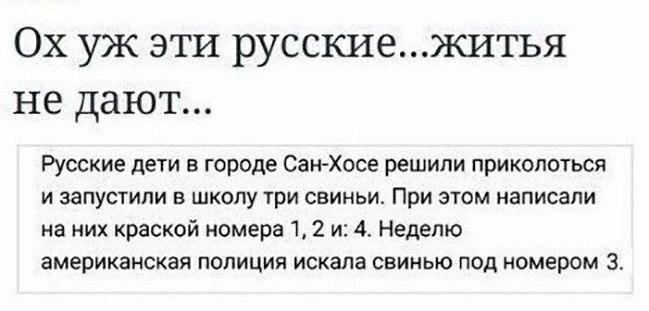 Ох уж эти русскиежитья не дают Русские дети в городе Сан Хосе решили приколоться и запустили в школу три свиньи При этом написали на них краской номера 1 2 и 4 Неделю американская ПОЛИЦИЯ ИСКЗПЭ СВИНЬЮ ПОД номером 3