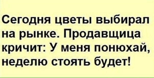 Сегодня цветы выбирал на рынке Продавщица кричит У меня понюхай неделю стоять будет