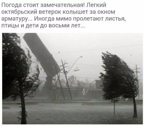 Погода стоит замечательная Легкий октябрьский ветерок колышет за окном арматуру Иногда мимо пролетают листья птицы и дети до восьми лет