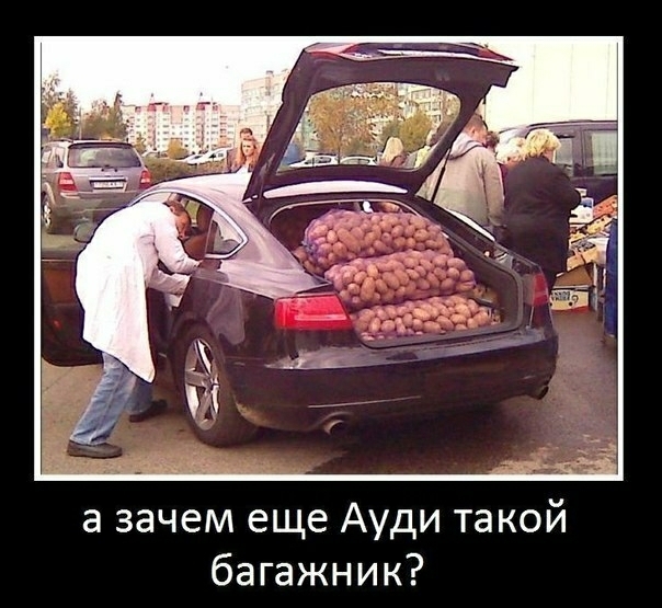 а зачем еще Ауди такой багажник