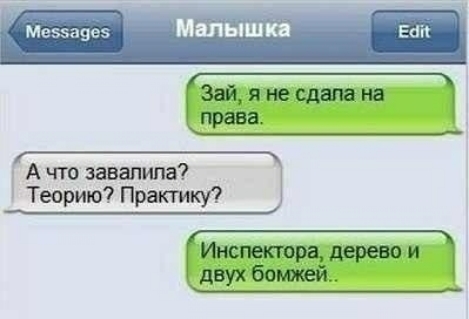 Меззааев Малыши вап Зай не сдам на права А что завалила Теорию Практику Инспектора дерево и двух бомжей