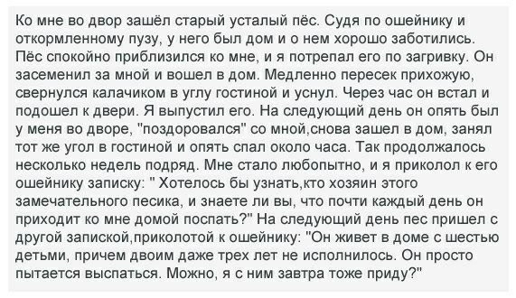 Ко мне во двор зашел старый усталый пес Судя по ошейнику и откормпенному лузу у него был дом и о нем хорошо заботились Пес спокойно приблизился ко мне и а потрепал его по загриеиу Он засеменил за мной и вошел в дом Медленно пересек прихожую свернулся калачиком в углу гостиной и уснул Через час он встал и подошел к двери я выпустил его На следующий день он опять был у меня во дворе поздоровался со 
