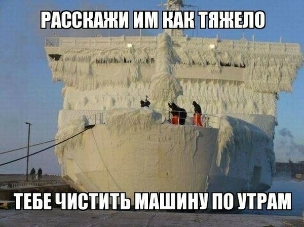 ч мышцы и ьм 1 с и ТЕБЕ ЧИВТИТЬ МАШИНУ по ПРАМ