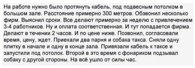 На работе нужно было протянуть кабель под подвесным потолком в большом зале Раосгояние примерно 300 метров Обзвонил несколько фирм Выяснил сроки Все делают примерно за неделю с привлечением 3 4 работников Ну и оплата соответсгвенная И тут попадается фирма делают в течении 2 часов И по цене ниже Позвонил согласовали время цену ждет Приехали два парня и собака такса Сняли одну плитку в начале и одну