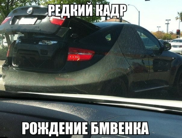 ёЁЁЁднииднддг гождвніі вщвцннд