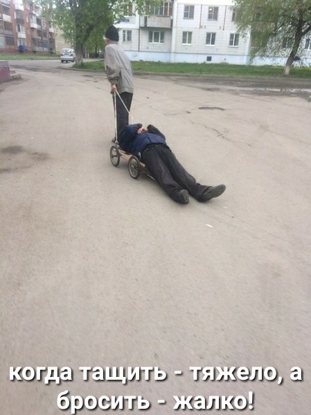 миша шщшэ гг 13553119 31 Эразма мамы