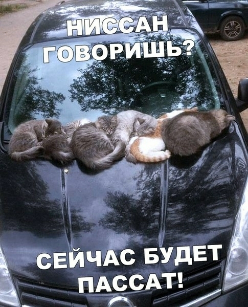 1 Ейчд БУДЕТ ПАСЕАТ