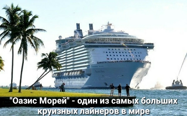Оазис Морей один из самых