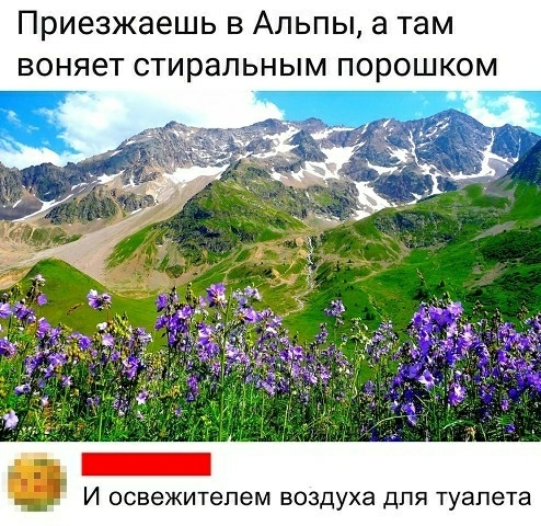 Приезжаешь в Альпы а там воняет стиральным порошком И освежитепем воздуха для туалета