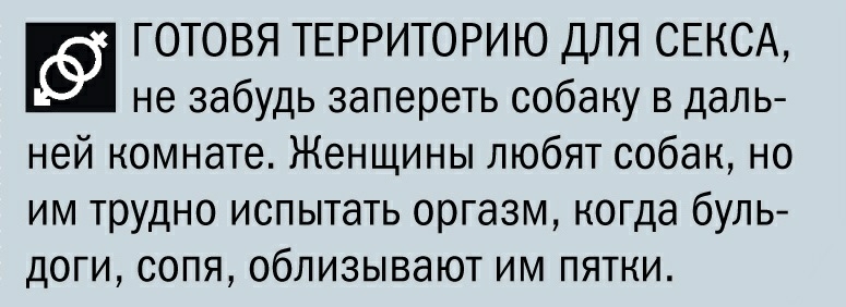 ГОТОВЯ ТЕРРИТОРИЮ ДЛЯ СЕКСА не забудь запереть собаку в даль ней номнате Женщины любят собак но им трудно испытать оргазм когда буль доги сопя облизывают им пятки