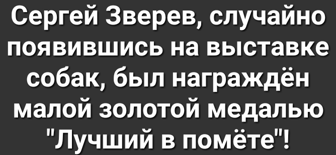 Сергей Зверев случайно появившись на выставке собак был награждён малой золотой медалью Лучший в помёте