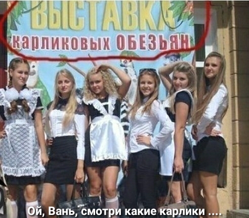 и какие