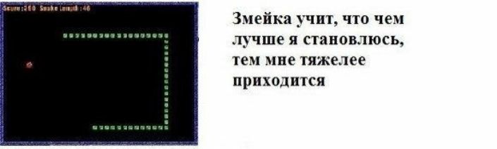 Змейка чпт что чем лучше я становлюсь тем мпе тяжелее приходится