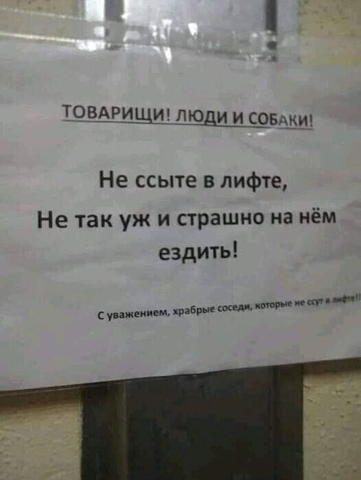 товдрщи люди и 9593 Не ссыте в лифте Не так уж и страшно на нём ездить а ип и аминем пьер е шеи