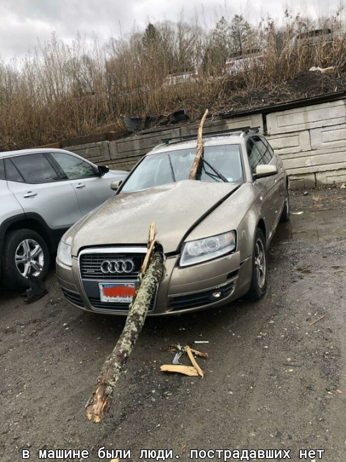 в машине бьши люди пострёдавших нет