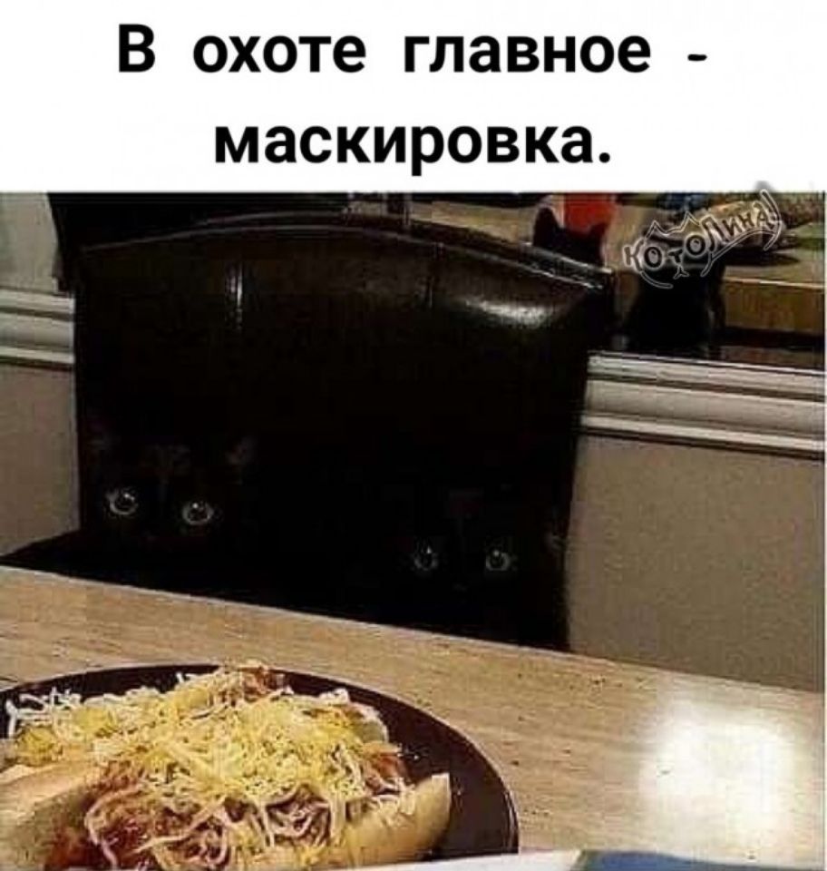 В охоте главное маскировка