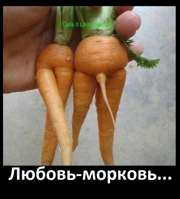 Любовь-морковь...