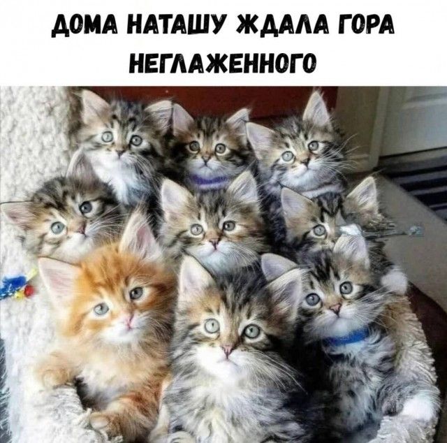 Дома Наташу ждала гора неуглаженного.