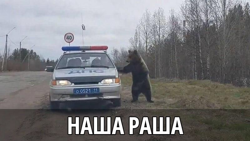 НАША РАША