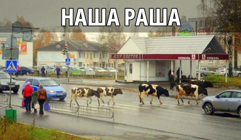 НАША РАША