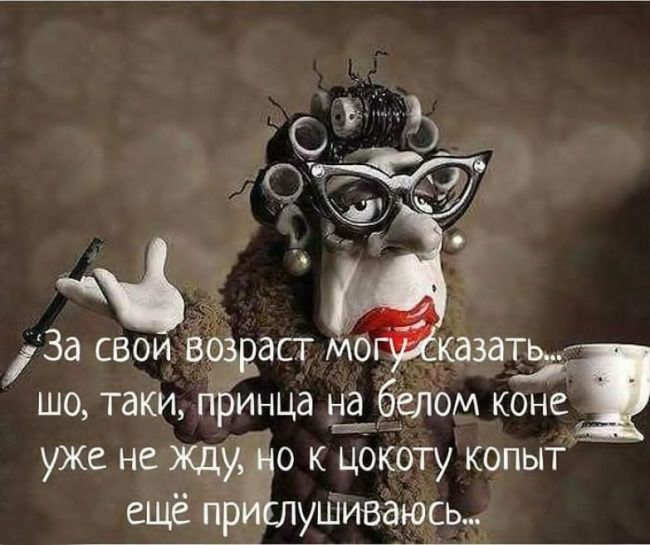 За свои вЁаст мо казаіьЯ шо таки принца Ёбаом коне уже не жду 0 К цокоту копьп ещё пр слушивдюсь