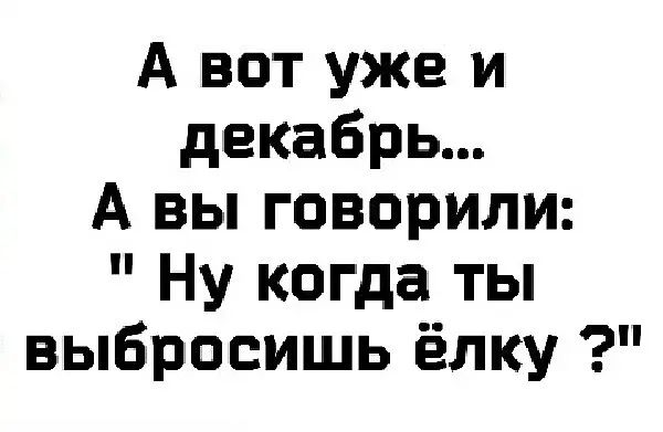 А вот уже и декабрь А вы говорили Ну когда ты выбросишь ёлку