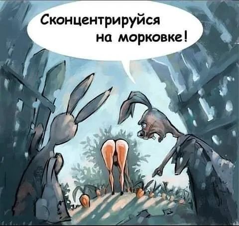 Сконцентрируйся на морковка