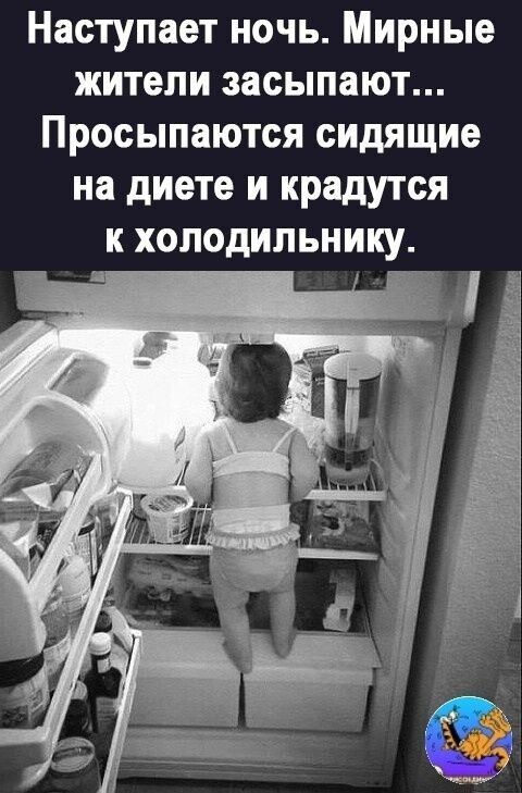 Наступает ночь Мирные житепи засыпают Просыпаются сидящие на диете и крадутся к холодильнику