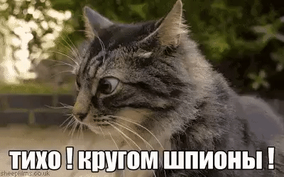 Ж Пншщмшпионы