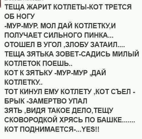ТЕЩА ЖАРИТ котлвты кот трется ов ногу МУР МУР мол ДАЙ котлеткум получмгт сильного пинкд отошел в угол знову зАТАил ТЕЩА ЗЯТЬКА зоввтюАдись милый котлвток поешьт кот к зятьку мур мур дАЙ котлетки тот кинул ЕМУ котлвту кот съвп врык 3АМЕРТВО УПАЛ зять видя ТАКОЕ двполащу сковородкой хрясь по БАШКЕ кот поднимется хеви