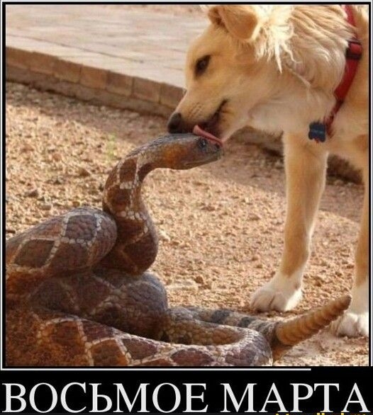 ВОСЬМОЕ МАРТ А