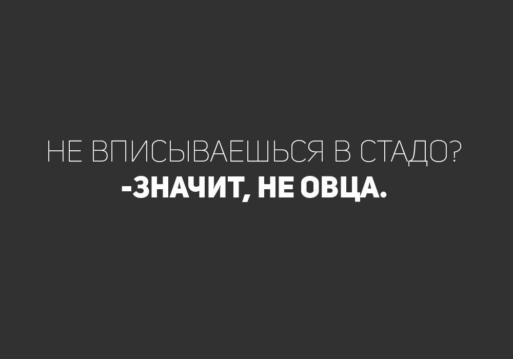 НЕ ВПИСЫВАЕШЬЕЯ В СТАДО 3НАЧИТ НЕ ОВЦА