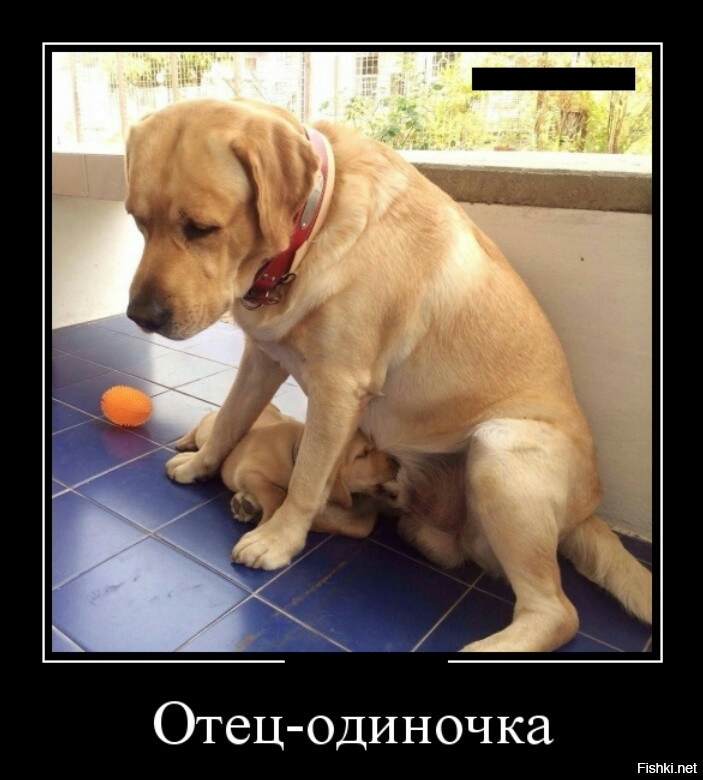 Отец Одиночка